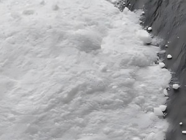 ベンゼンスルフィン酸ナトリウム塩(sbs)